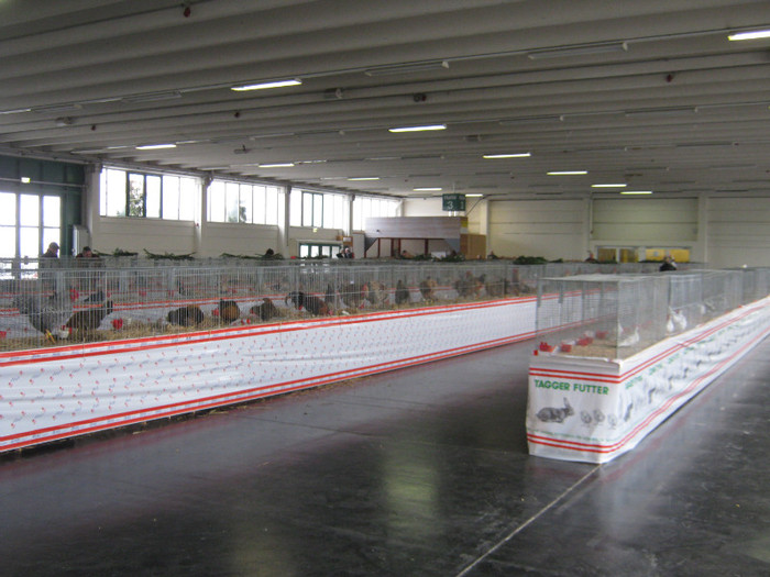 wieselburg 091