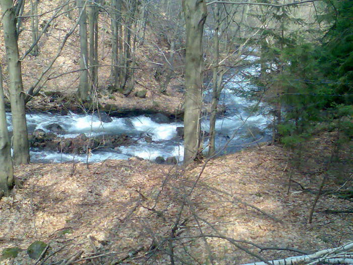 coborand de la Izvoare la Firiza 041