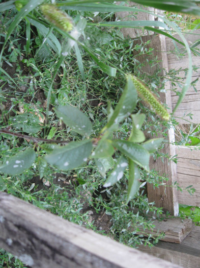 dupa turnare centuri mansarda 091