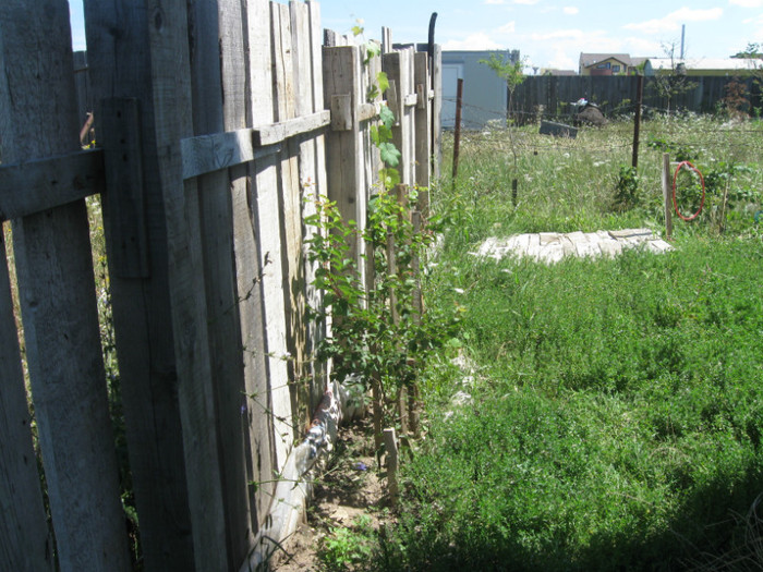 dupa turnare centuri mansarda 092