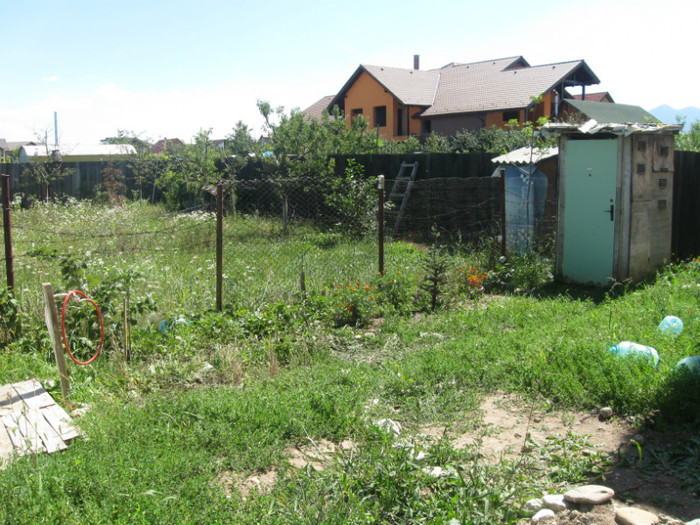 dupa turnare centuri mansarda 096