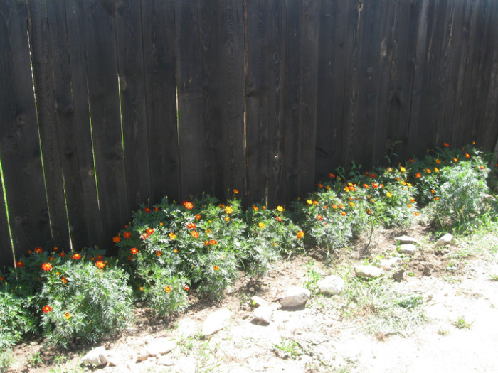 dupa turnare centuri mansarda 110