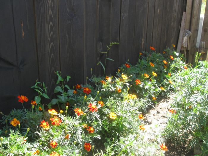 dupa turnare centuri mansarda 111