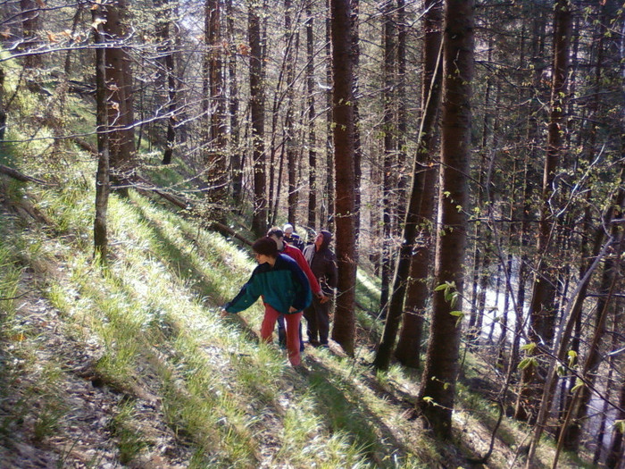 lacul lesu imprejurimi 032