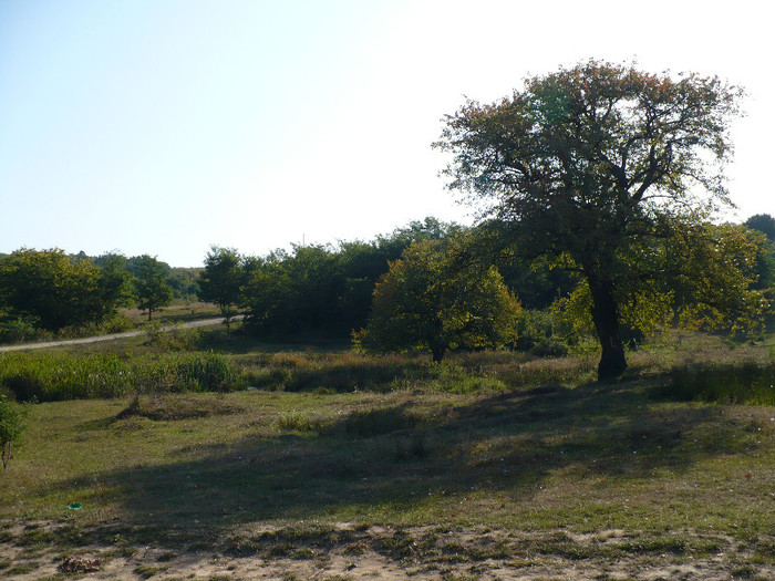 balta secheresa imprejurimi 001 - BALTA DE LA SECHERESA