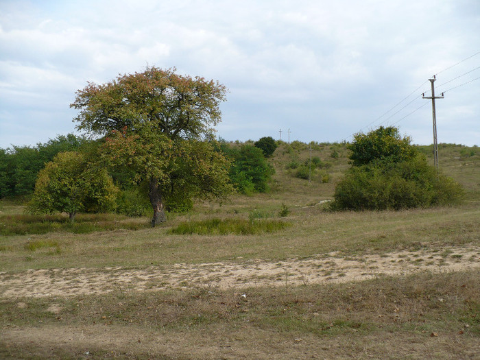 balta secheresa imprejurimi 002 - BALTA DE LA SECHERESA