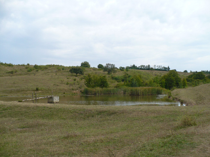 balta de la secheresa 005