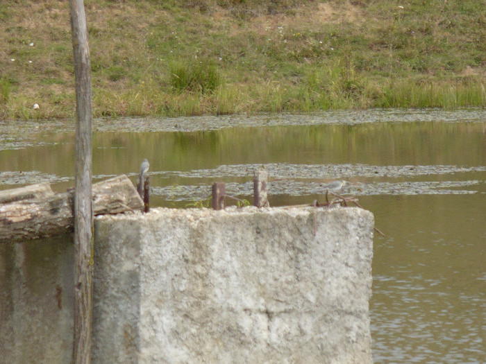 balta de la secheresa 006 - BALTA DE LA SECHERESA