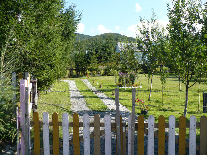 lacul lesu coada lacului 021