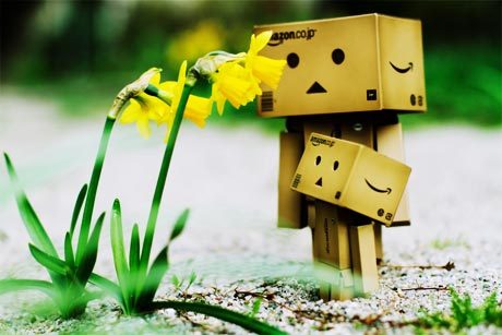  - 00Danbo Robot00