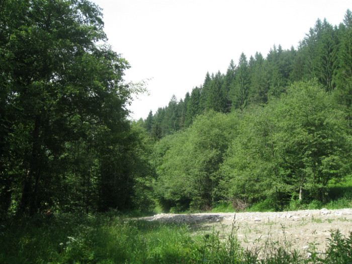 30.05.2010 089