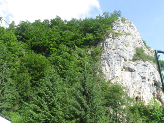30.05.2010 105