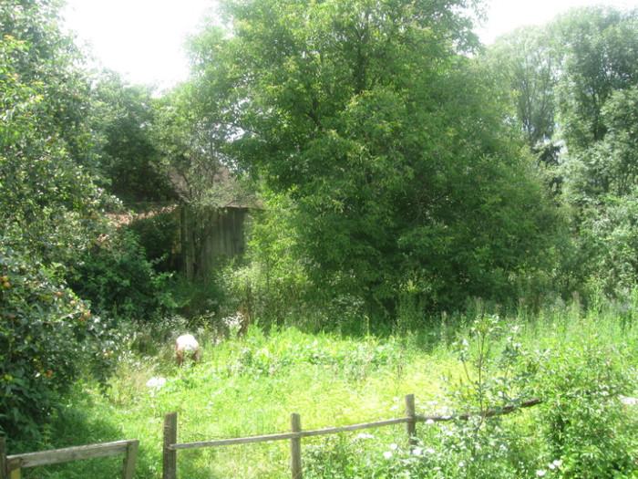 30.05.2010 136