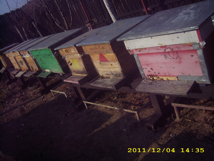 04-12-2011 - albinele si stupii mei-bees and my hives