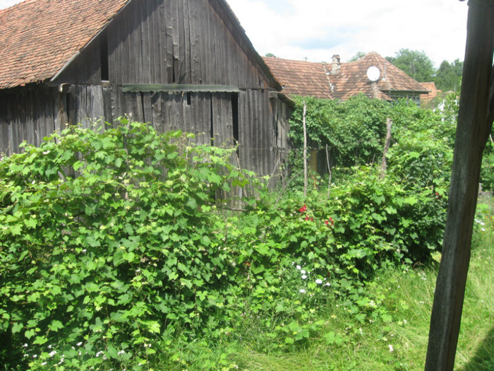 30.05.2010 202 - golire calculator 2