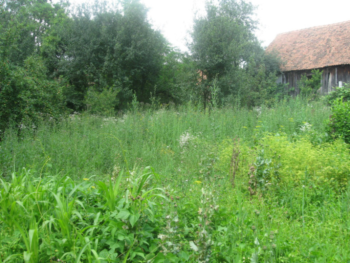 30.05.2010 206 - golire calculator 2