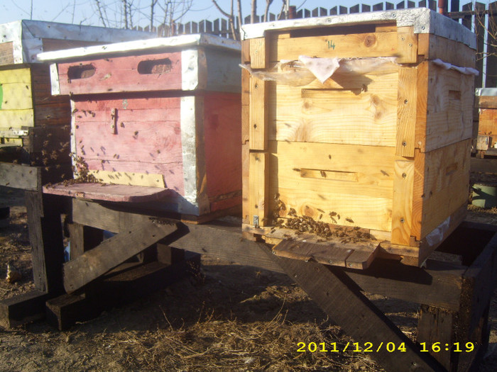 04-12-2011 - albinele si stupii mei-bees and my hives