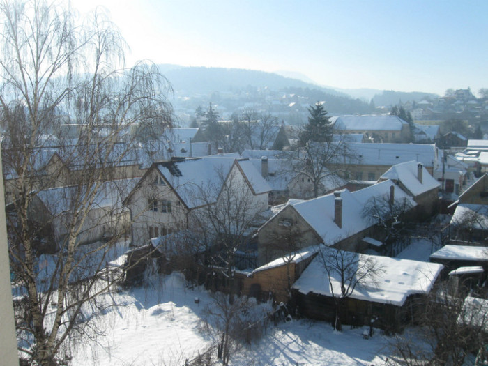 denisa 115 - golire calculator 2