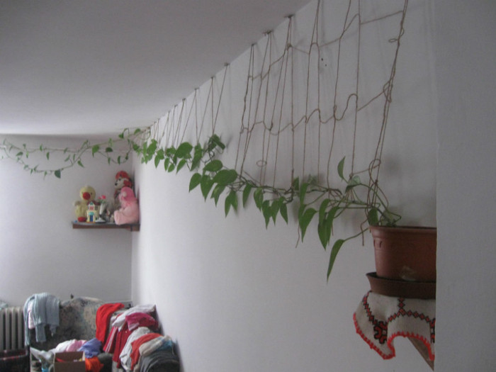 videotv 019 - golire calculator 2