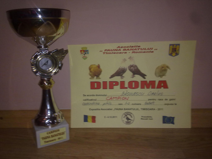 fauna banatului 2-4- 12-2011 - Cupe si diplome