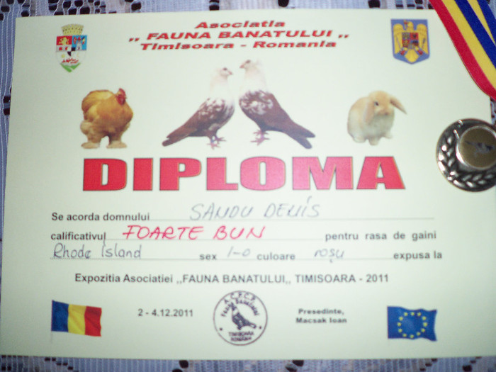 Fauna Banatului Timisoara 2-3-4 Decembrie 2011 - DIPLOME SI CUPE