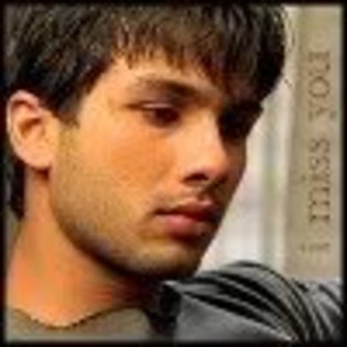 385452_237169409684119_183226935078367_623635_1208594820_n - Shahid Kapoor