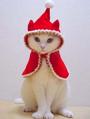 Christmas-Animals-10