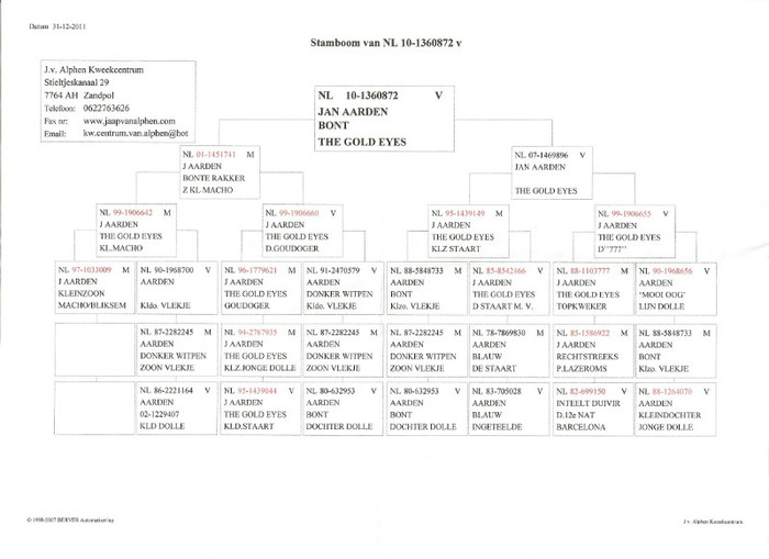 jan aarden - 8-pedigree