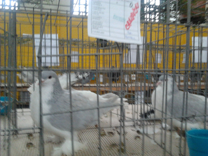 2011-12-03 14.39.23