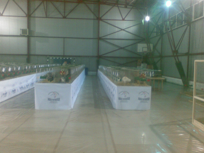 Expo - Expo Parada Pintenatelor Oravita 2011
