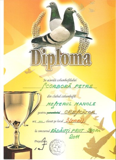 Picture - DIPLOME MATURII 2011