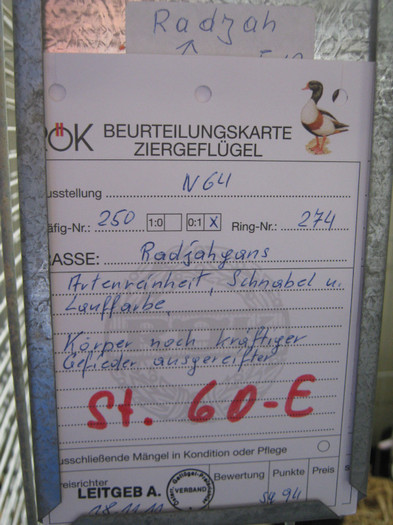 wieselburg 083