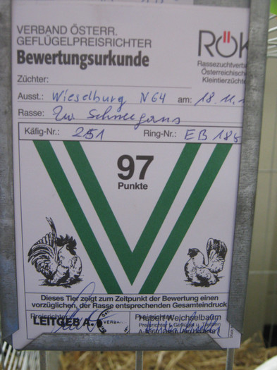 wieselburg 084 - Wieselburg austelung-2011