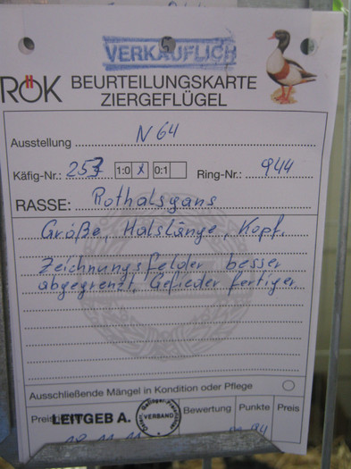 wieselburg 088 - Wieselburg austelung-2011