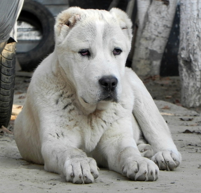 Cronos 4 luni si 3 sapt