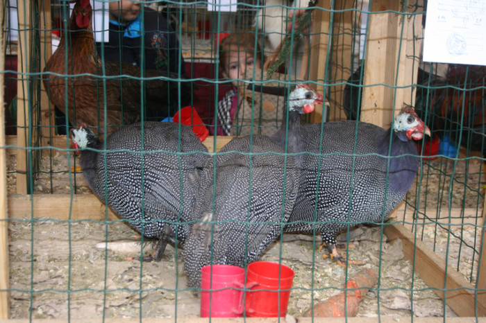 IMG_4767