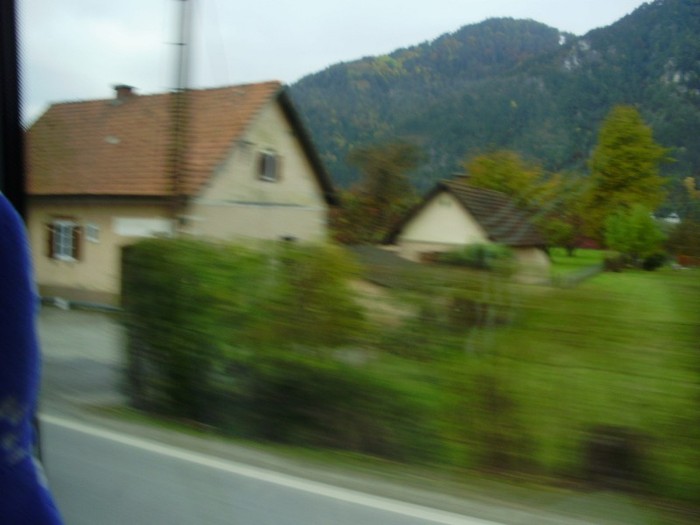 P7230194 - Copy