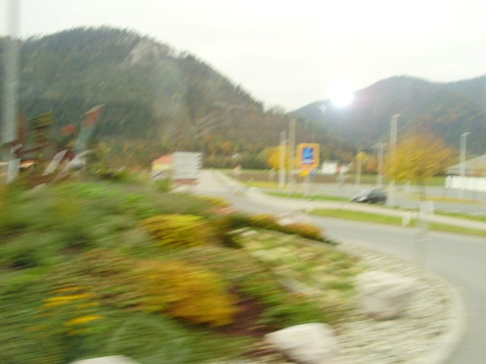 P7230195 - Copy
