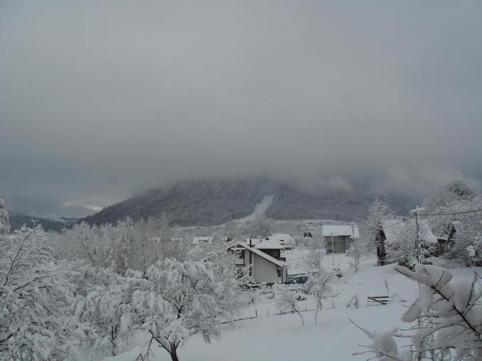 316973_242498989119988_100000796650968_621217_5463226_n