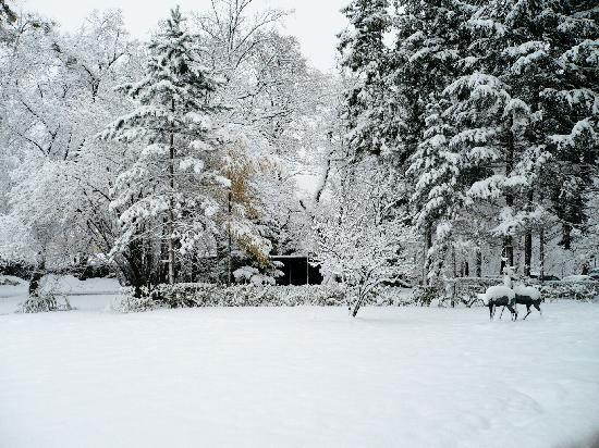 snowy_winter_day-1172 - Tabloul Iernii