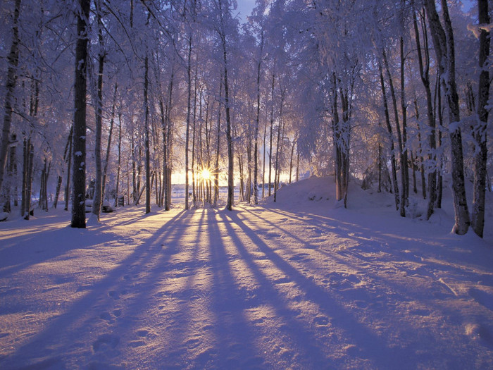 wallpapers-christmas-winter (39)