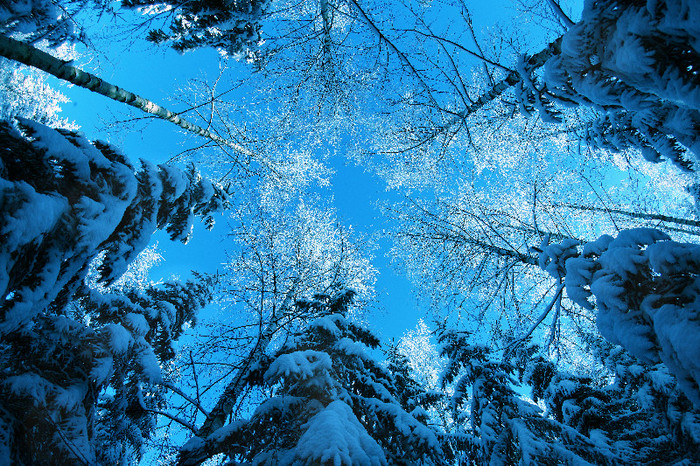 winter__________________by_karil - Tabloul Iernii