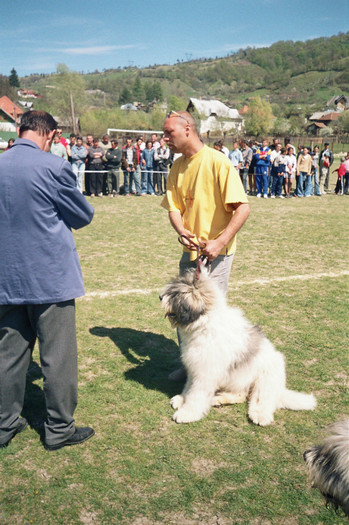 rucar 2004 cmbr mioritic