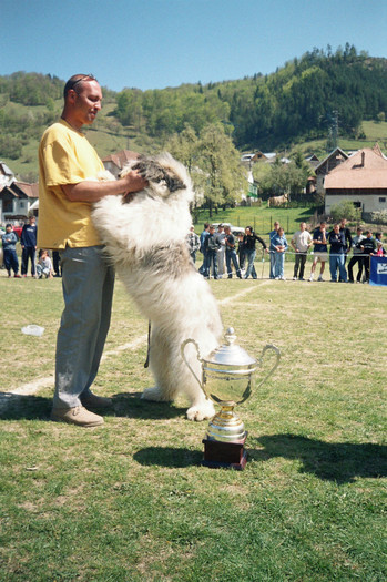 cmbr rucar 2004 - femele mioritic