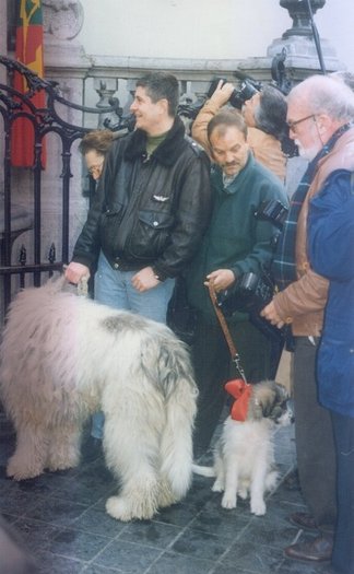 Ursu,Molda de Romania,Marc Degimbe - 1995 Ziua Nationala a Romaniei la Bruxelles