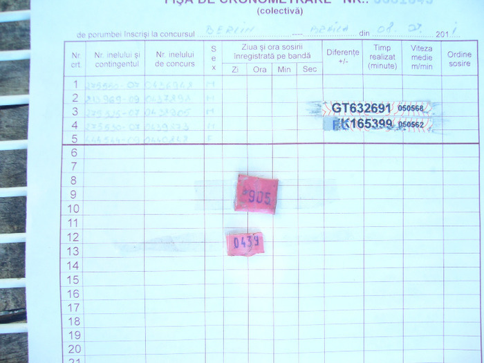 6 - Pasarii sosite de la BERLIN