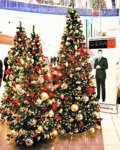 decorate-a-gorgeous-christmas-tree-585x731 - O Brad Frumos
