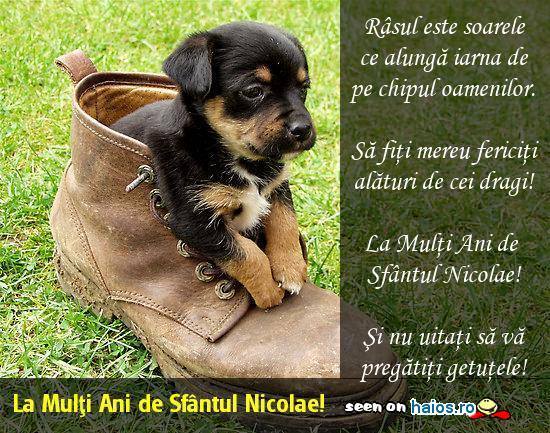 felicitare_catel_in_ghetute_mos_nicolae_1260027556 - Mos Nicolae