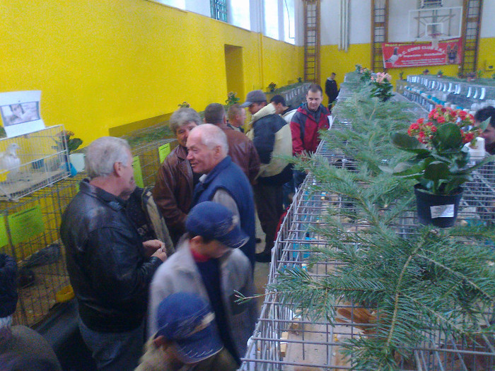 Fénykép0683 - Expo Gheorgheni 3-4 Decembrie 2011