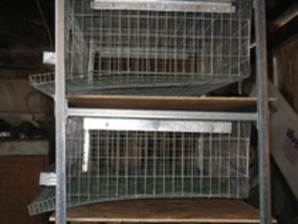 30522342_ECXJQGOFC; rastel pentr 100pas pe 2 nivele
